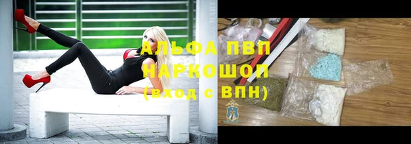 прущие грибы Вязники