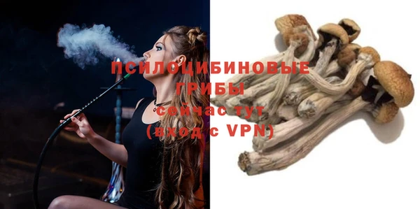 гашик Михайловка