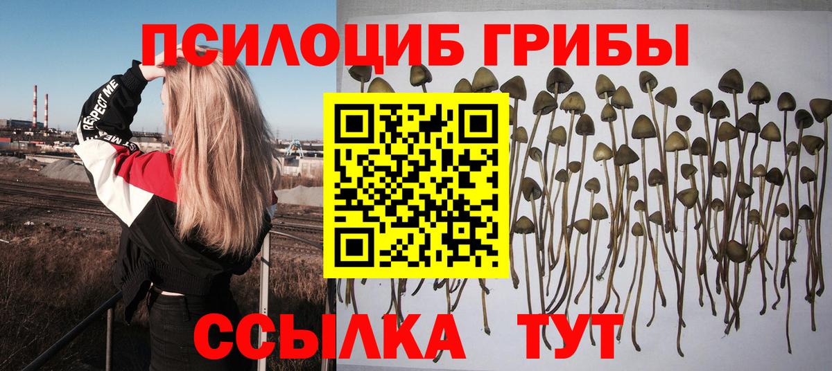 Псилоцибиновые грибы мухоморы Химки